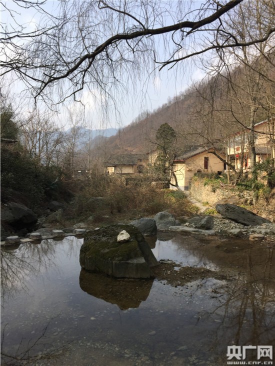 大山深处春光旖旎 康县乡村"风景这边更好"