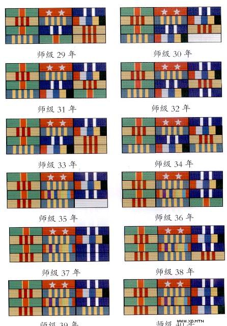 解放军最新胸章图解图图片